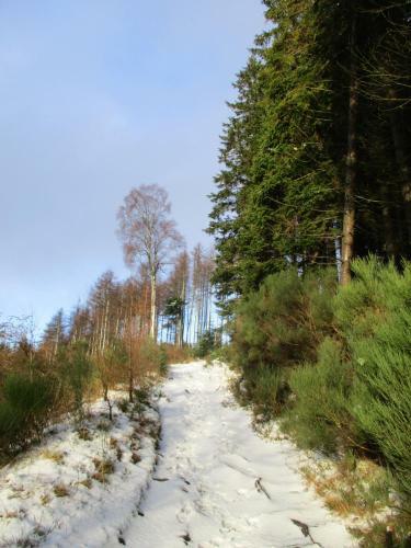 Pitlochry Syha Hostelling Scotland