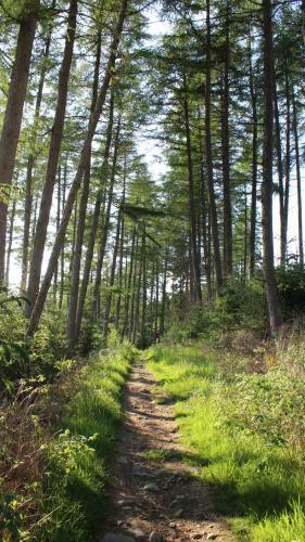 Pitlochry Syha Hostelling Scotland