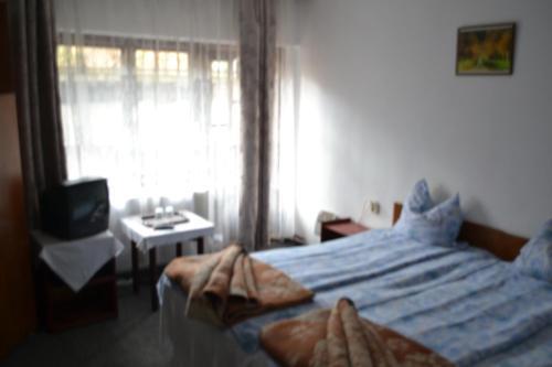 Hostal Villa Milcov