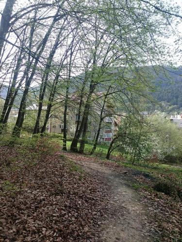 Apartament Racadau