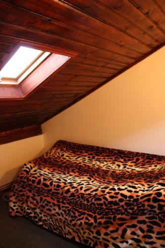 Apartament Racadau