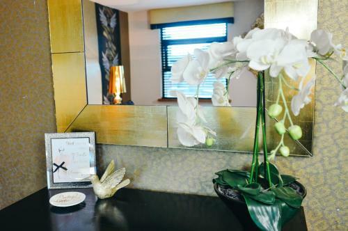 Aparthotel Posh Pads - Liverpool 1 - Apart-hotel