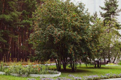 Irtysh Hotel
