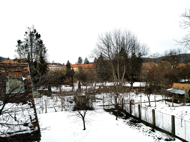 Hostal Venesis House