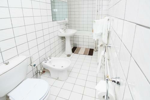 Hostal Vila Condor Sinaia
