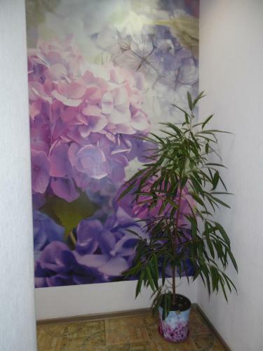 Hostal Irena Guest House