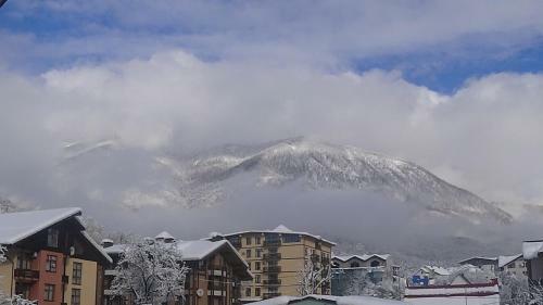 Krasnaya Polyana Hostel