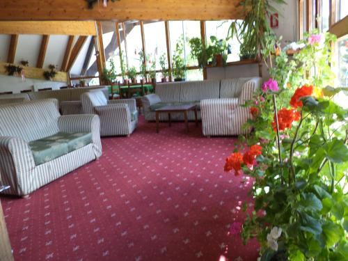 Hotel Betulla