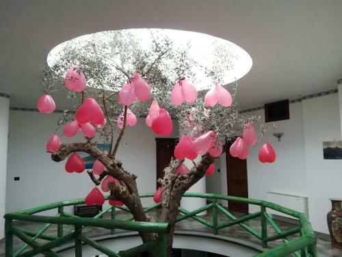 Hotel Sirio