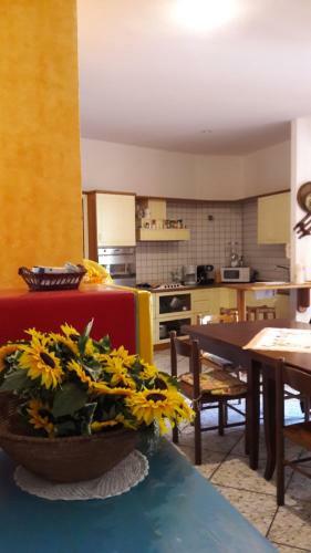 Bed & Breakfast West Coast