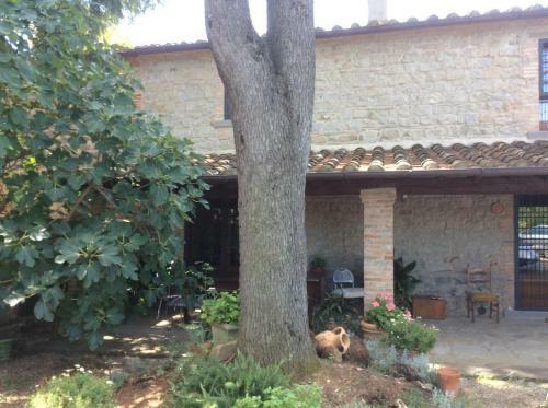 Agroturismo Agriturismo Dominus Domenico