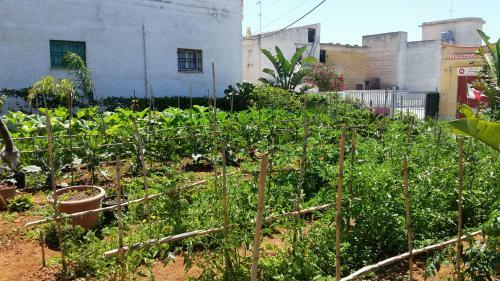 Apartamento Oltremare