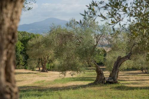 Villa Podere Castelletto