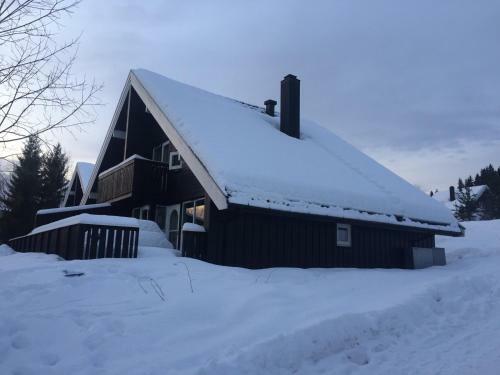 Trysil Alpin 16a