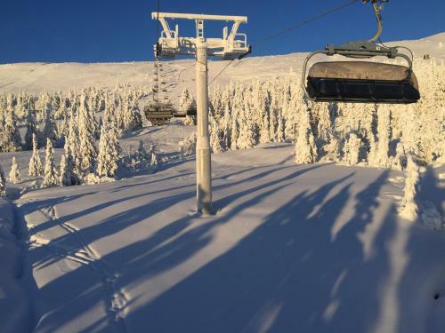 Trysil Alpin 16a