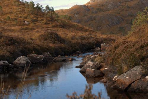 Shore Croft