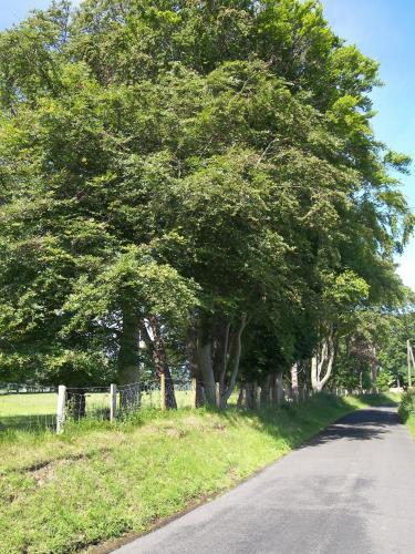 Magherintemple Lodge