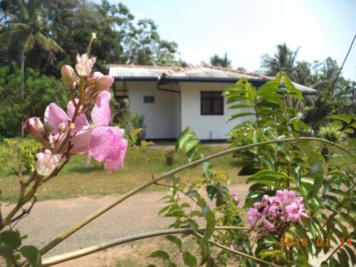 Villa Lagoon View Mirissa
