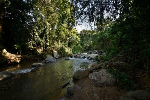 Hotel Ella Jungle Resort