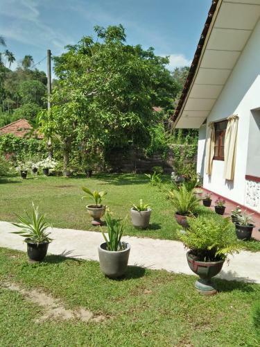 Hostal Inuja Guest