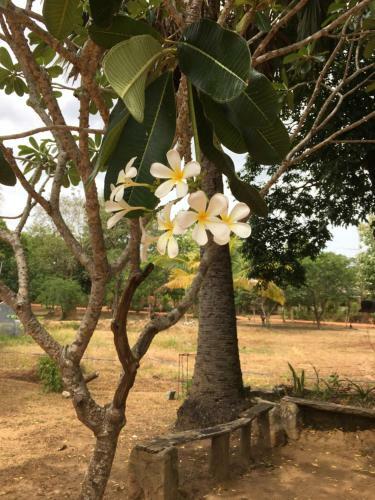 Kamatha Eco Lodge
