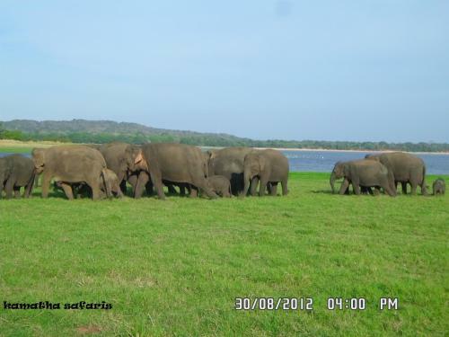Kamatha Eco Lodge