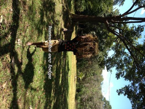 Kamatha Eco Lodge