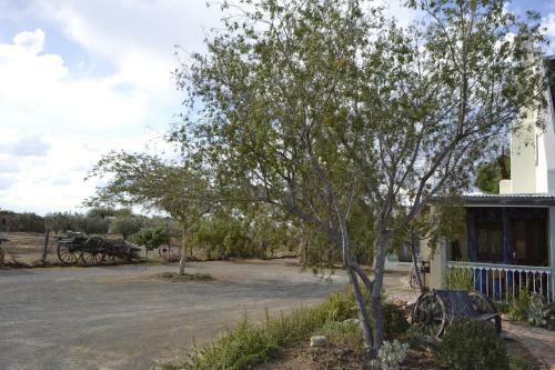 Hostal Aloe Guest House