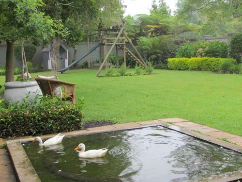 Hostal Caledon 31