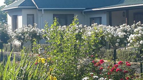 Bed & Breakfast Sani Gables