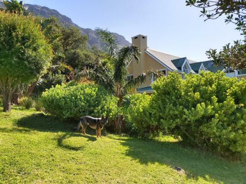Hostal Villa La Paz