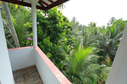 Bed & Breakfast Tropical Paradise