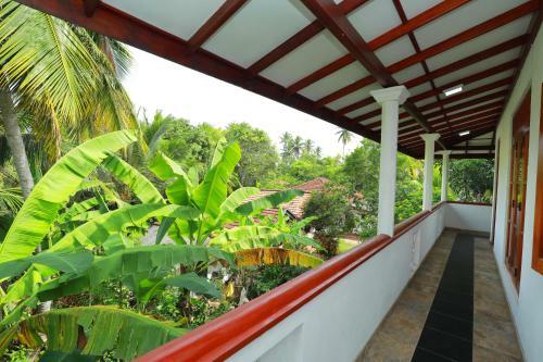 Bed & Breakfast Tropical Paradise