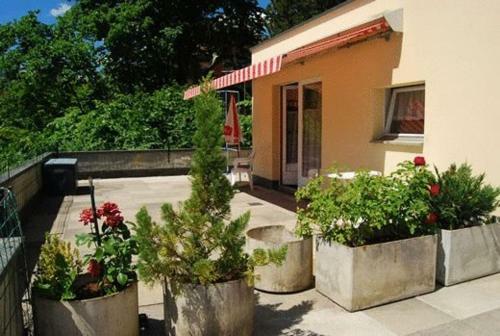 Hotel Collina