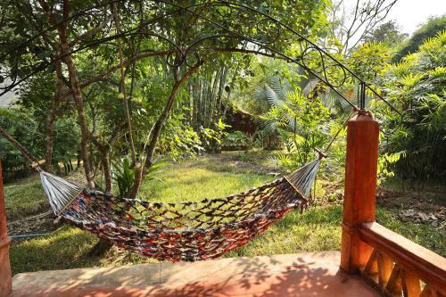 Hotel Naga Hill Resort