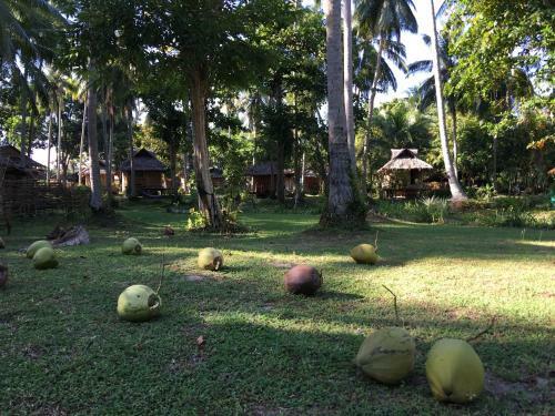 Koh Mook Coco Lodge
