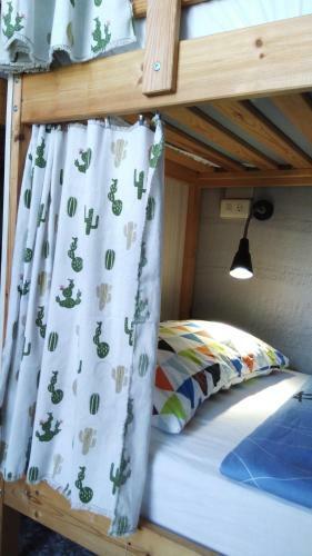 4+57 Hostel