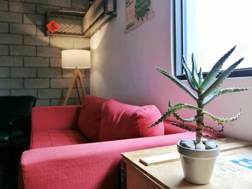 Albergue Knock Inn
