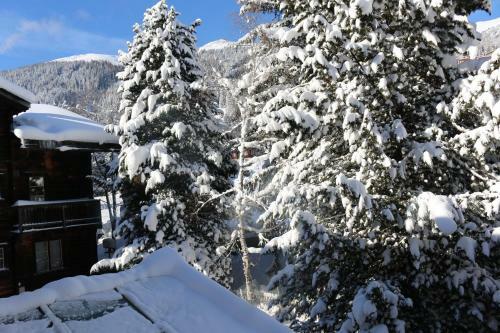Apartamentos Haus Pyrola