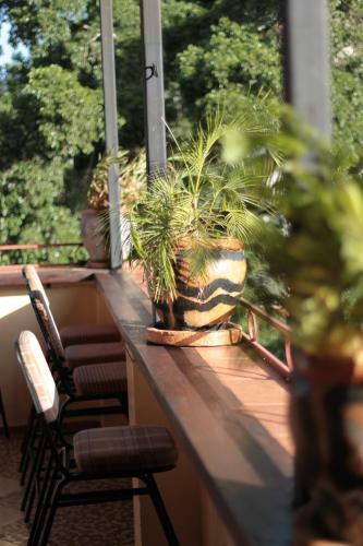 Kili Globetrotter's Hostel