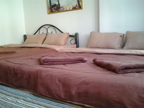 Hostal Robusta