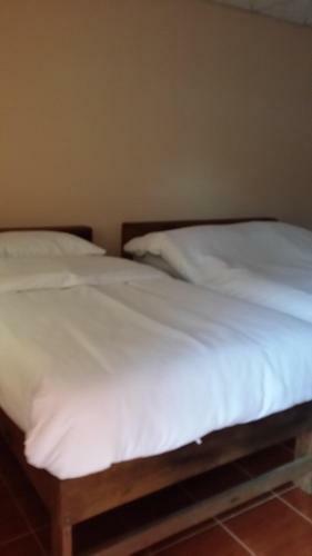 Hostal Honey Land