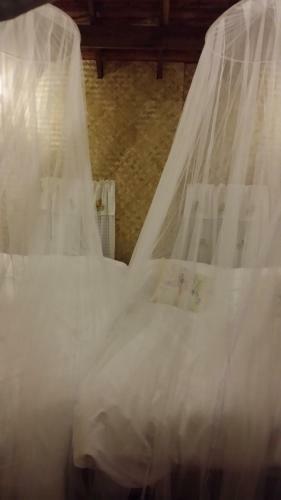Hostal Honey Land
