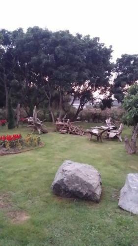 Hostal Honey Land