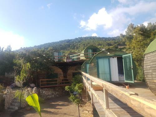 Mandala Camping
