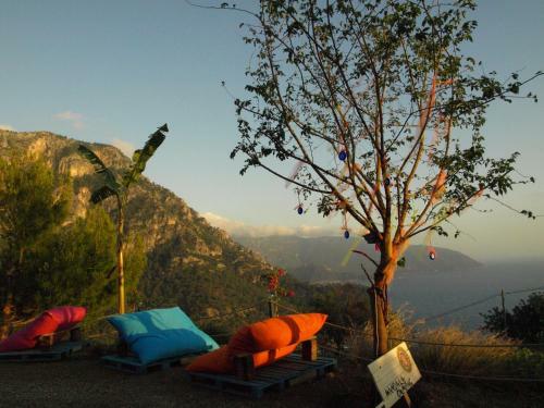 Mandala Camping