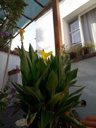 Hostal Madra House