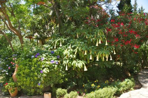 Hotel Emel Pension