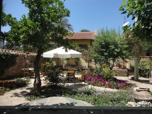 Hotel Villa Tulipan