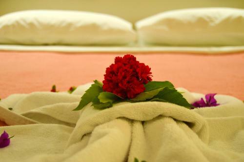 Hotel Club Dedeman Bodrum